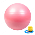 éclat qui respecte l'environnement de PVC de boule de yoga de 65cm anti et boule antidérapante de forme physique d'exercice d'équilibre